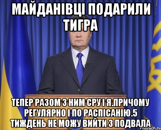 Майданівці подарили тигра Тепер разом з ним сру і я.Причому регулярно і по распісанію.5 тиждень не можу вийти з подвала, Мем Янукович2014