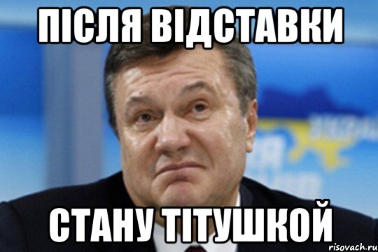 Після відставки Стану Тітушкой, Мем Янукович