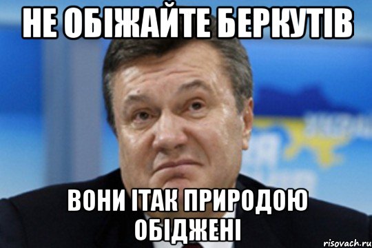 не обіжайте беркутів вони ітак природою обіджені, Мем Янукович