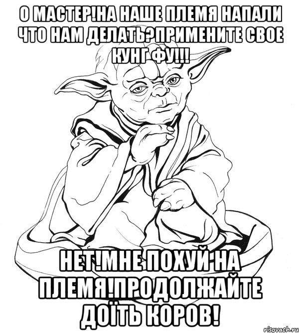 О МАСТЕР!НА НАШЕ ПЛЕМЯ НАПАЛИ ЧТО НАМ ДЕЛАТЬ?ПРИМЕНИТЕ СВОЕ КУНГ ФУ!!! НЕТ!МНЕ ПОХУЙ НА ПЛЕМЯ!ПРОДОЛЖАЙТЕ ДОЇТЬ КОРОВ!, Мем Мастер Йода