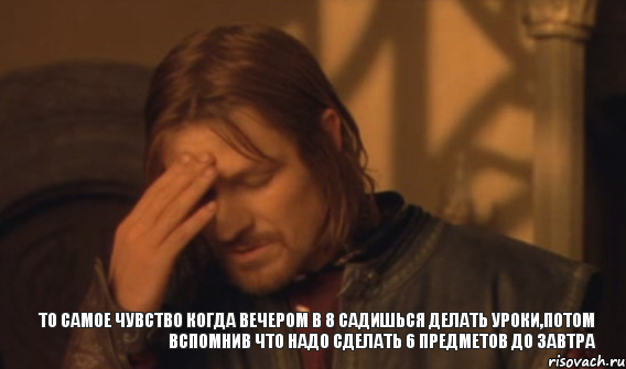 То самое чувство когда вечером в 8 садишься делать уроки,потом вспомнив что надо сделать 6 предметов до завтра, Мем Закрывает лицо