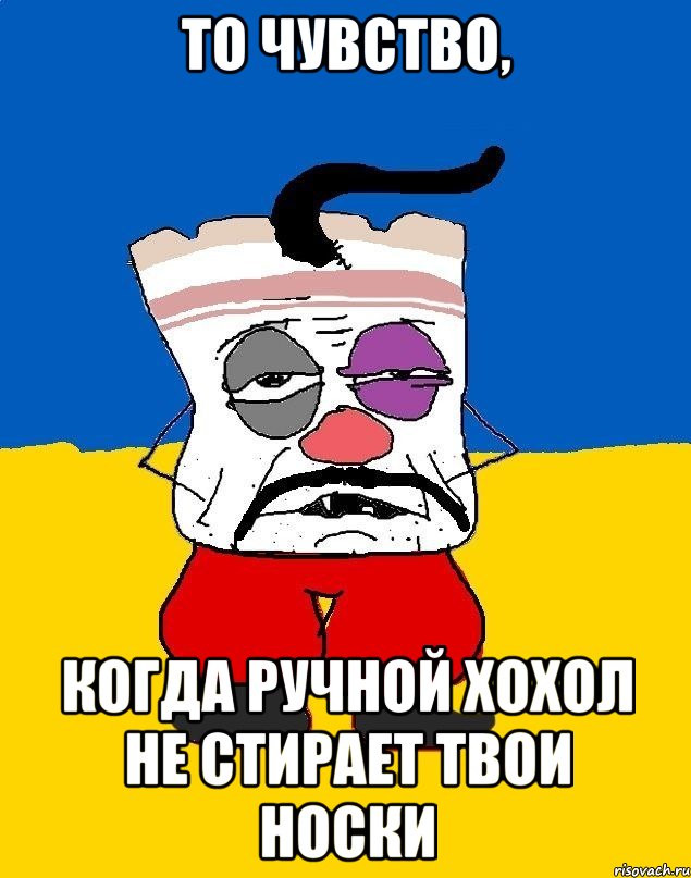 То чувство, Когда ручной хохол не стирает твои носки, Мем Западенец - тухлое сало