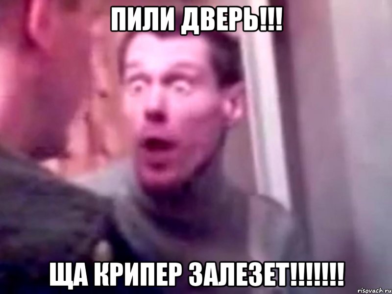 Пили дверь!!! Ща крипер залезет!!!!!!!, Мем Запили