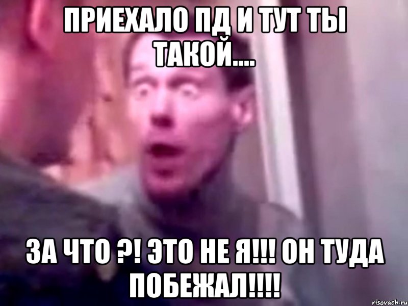 Приехало ПД и тут ты такой.... ЗА ЧТО ?! ЭТО НЕ Я!!! ОН ТУДА ПОБЕЖАЛ!!!!, Мем Запили