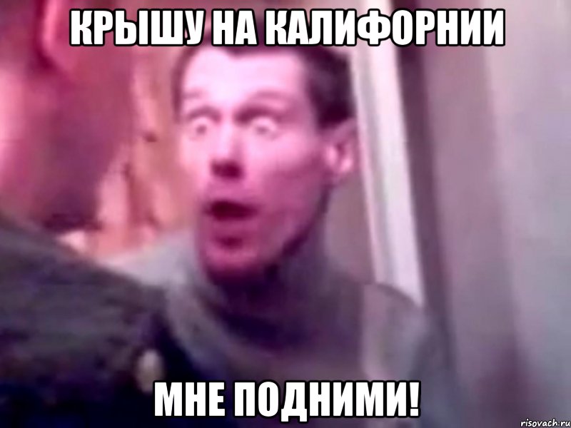 Крышу на Калифорнии мне подними!, Мем Запили