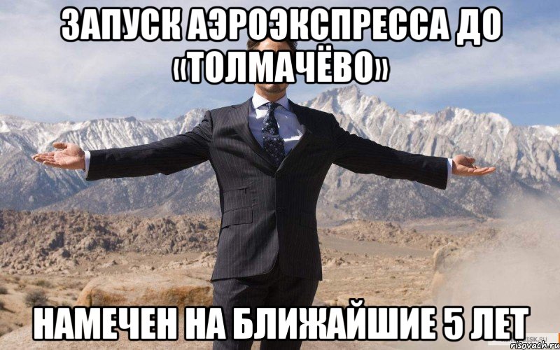 Запуск аэроэкспресса до «Толмачёво» намечен на ближайшие 5 лет, Мем железный человек