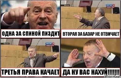 ОДНА ЗА СПИНОЙ ПИЗДИТ ВТОРАЯ ЗА БАЗАР НЕ ОТВИЧАЕТ ТРЕТЬЯ ПРАВА КАЧАЕТ ДА НУ ВАС НАХУЙ!!!!!!!, Комикс жиреновский