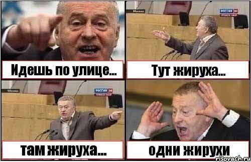 Идешь по улице... Тут жируха... там жируха... одни жирухи, Комикс жиреновский