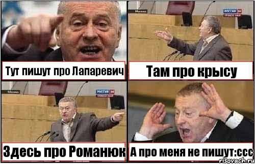 Тут пишут про Лапаревич Там про крысу Здесь про Романюк А про меня не пишут:ссс, Комикс жиреновский