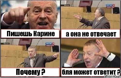 Пишешь Карине а она не отвечает Почему ? бля может ответит ?, Комикс жиреновский