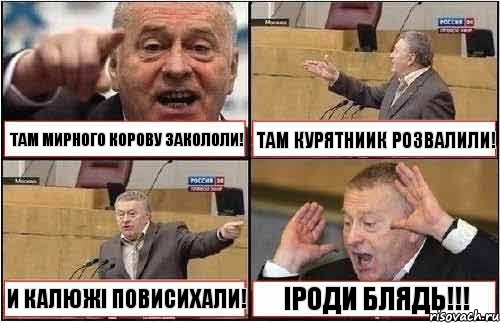 ТАМ МИРНОГО КОРОВУ ЗАКОЛОЛИ! ТАМ КУРЯТНИИК РОЗВАЛИЛИ! И КАЛЮЖІ ПОВИСИХАЛИ! ІРОДИ БЛЯДЬ!!!, Комикс жиреновский