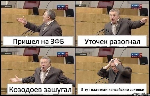 Пришел на ЗФБ Уточек разогнал Козодоев зашугал И тут налетели кансайские соловьи, Комикс Жирик в шоке хватается за голову