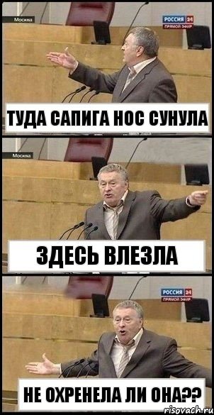 Туда Сапига нос сунула Здесь влезла Не охренела ли она??, Комикс Жириновский разводит руками 3