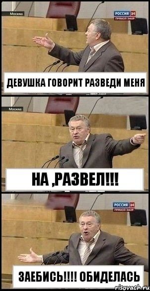 девушка говорит разведи меня на ,развел!!! заебись!!!! обиделась, Комикс Жириновский разводит руками 3