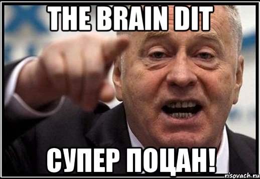 The Brain Dit Супер поцан!, Мем жириновский ты