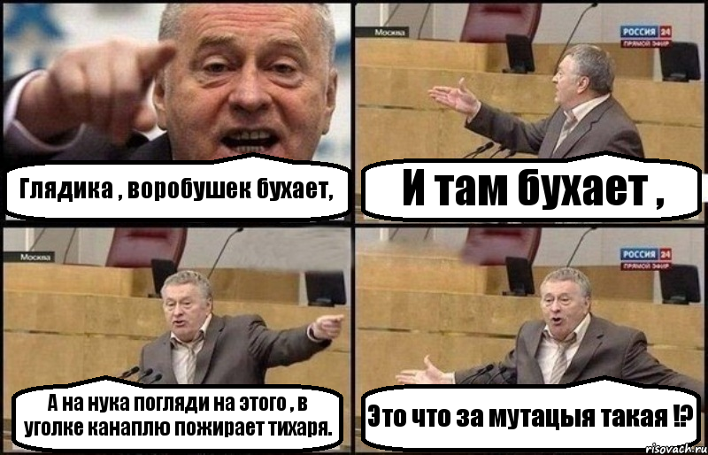 Глядика , воробушек бухает, И там бухает , А на нука погляди на этого , в уголке канаплю пожирает тихаря. Это что за мутацыя такая !?, Комикс Жириновский