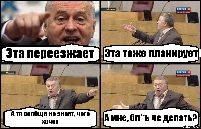 Эта переезжает Эта тоже планирует А та вообще не знает, чего хочет А мне, бл**ь че делать?, Комикс Жириновский