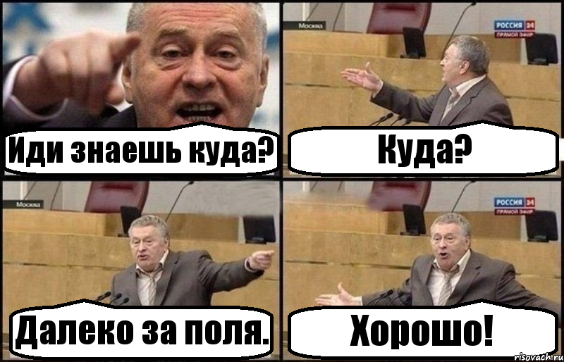 Иди знаешь куда? Куда? Далеко за поля. Хорошо!, Комикс Жириновский