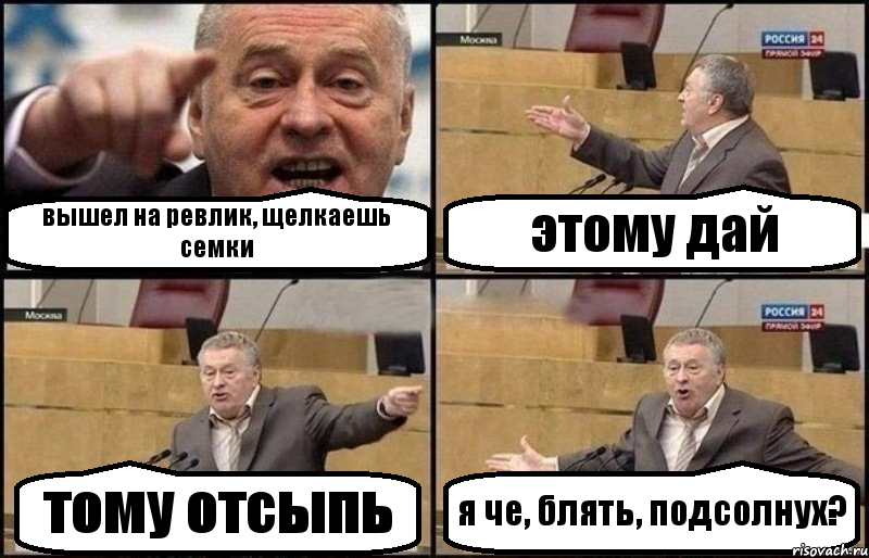 вышел на ревлик, щелкаешь семки этому дай тому отсыпь я че, блять, подсолнух?, Комикс Жириновский