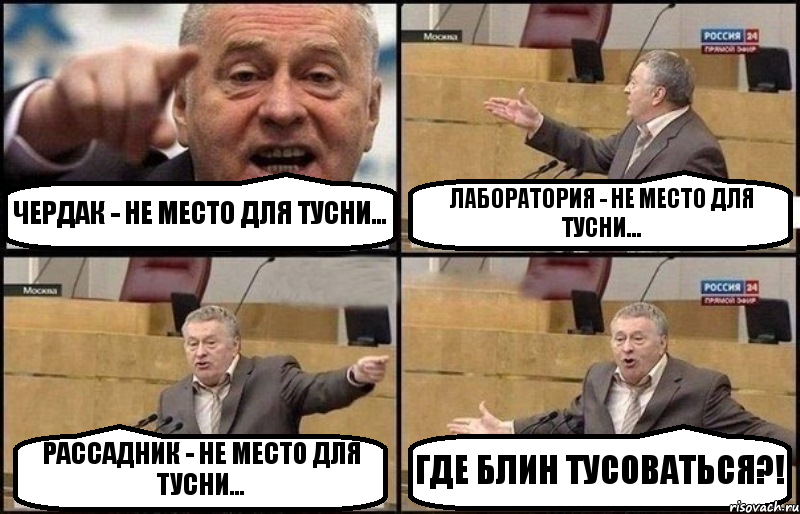 ЧЕРДАК - НЕ МЕСТО ДЛЯ ТУСНИ... ЛАБОРАТОРИЯ - НЕ МЕСТО ДЛЯ ТУСНИ... РАССАДНИК - НЕ МЕСТО ДЛЯ ТУСНИ... ГДЕ БЛИН ТУСОВАТЬСЯ?!, Комикс Жириновский