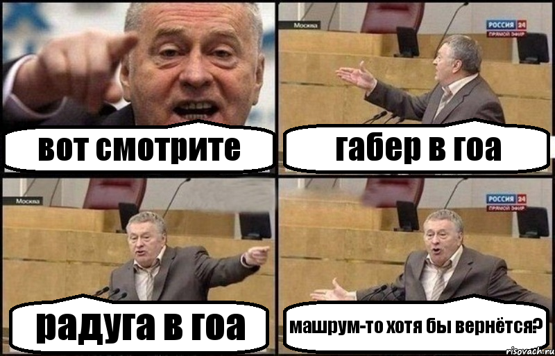 вот смотрите габер в гоа радуга в гоа машрум-то хотя бы вернётся?, Комикс Жириновский