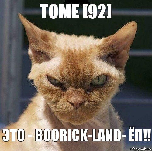 TOME [92] ЭТО - BOORICK-LAND- ЁП!!