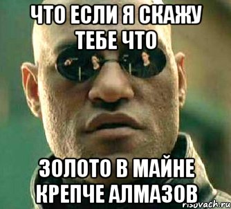 ЧТО ЕСЛИ Я СКАЖУ ТЕБЕ ЧТО ЗОЛОТО В МАЙНЕ КРЕПЧЕ АЛМАЗОВ, Мем  а что если я скажу тебе