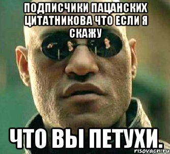 Подписчики Пацанских Цитатникова что если я скажу ЧТО ВЫ ПЕТУХИ., Мем  а что если я скажу тебе