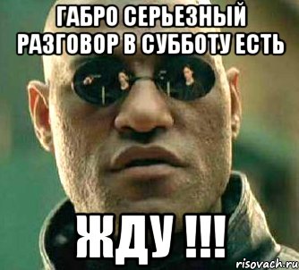 Габро серьезный разговор в субботу есть Жду !!!, Мем  а что если я скажу тебе