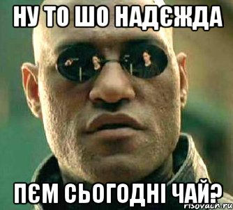 Ну то шо Надєжда пєм сьогодні чай?, Мем  а что если я скажу тебе