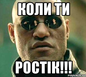 коли ти РОСТІК!!!, Мем  а что если я скажу тебе