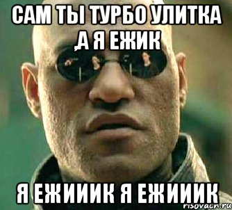 Сам ты Турбо улитка ,а я Ежик Я Ежииик Я Ежииик