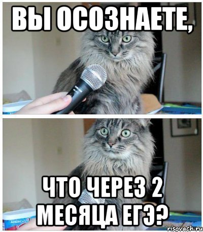 Вы осознаете, что через 2 месяца ЕГЭ?, Комикс  кот с микрофоном