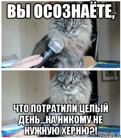 Вы осознаёте, что потратили целый день...на НИКОМУ не нужную ХЕРНЮ?!, Комикс  кот с микрофоном