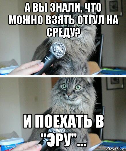 А вы знали, что можно взять отгул на среду? и поехать в "Эру"..., Комикс  кот с микрофоном