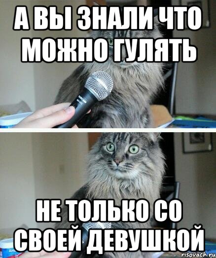 а вы знали что можно гулять не только со своей девушкой, Комикс  кот с микрофоном