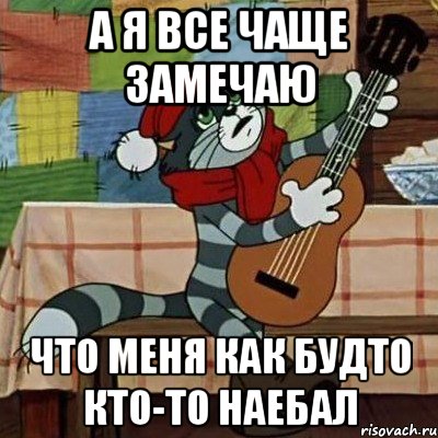 А я все чаще замечаю Что меня как будто кто-то наебал, Мем Кот Матроскин с гитарой