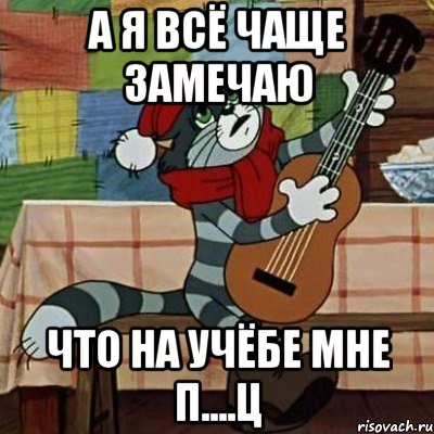 А я всё чаще замечаю что на учёбе мне п....ц, Мем Кот Матроскин с гитарой