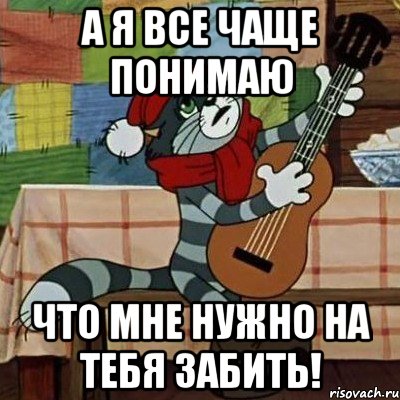 А я все чаще понимаю что мне нужно на тебя забить!, Мем Кот Матроскин с гитарой