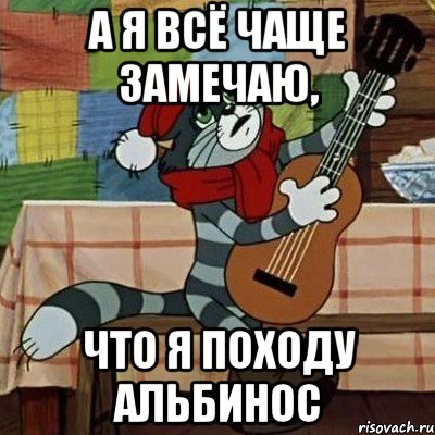 А я всё чаще замечаю, что я походу альбинос, Мем Кот Матроскин с гитарой