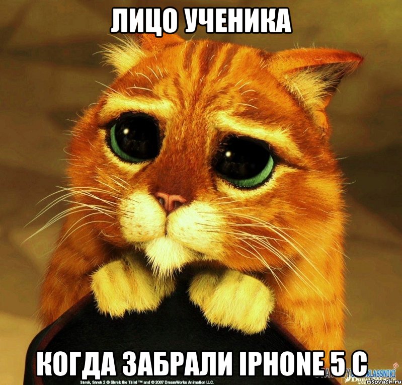 лицо ученика когда забрали iphone 5 C, Мем Котик из Шрека