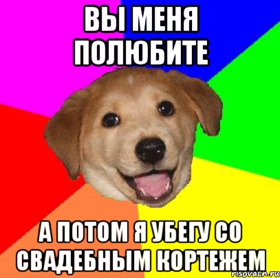 Вы меня полюбите А потом я убегу со свадебным кортежем, Мем Advice Dog