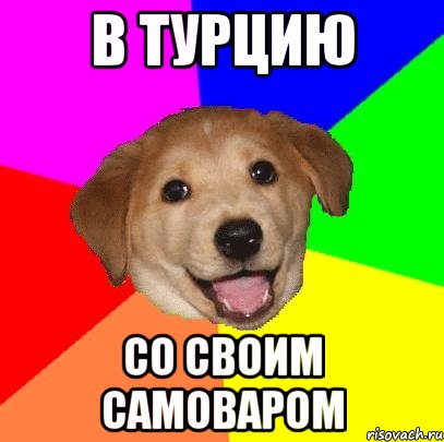 В турцию со cвоим самоваром, Мем Advice Dog