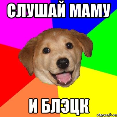 Слушай маму и блэцк, Мем Advice Dog