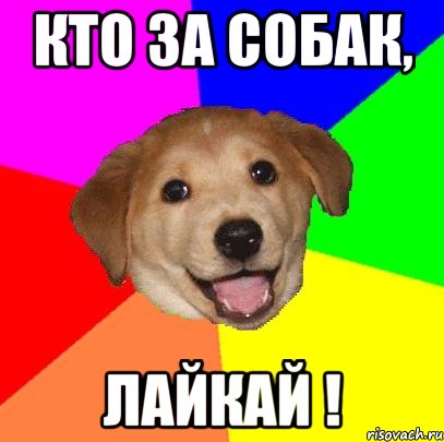 кто за собак, лайкай !, Мем Advice Dog