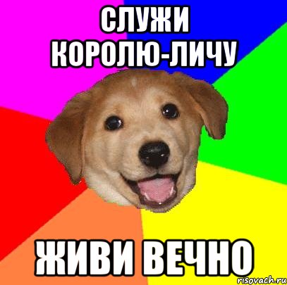 служи королю-личу живи вечно, Мем Advice Dog