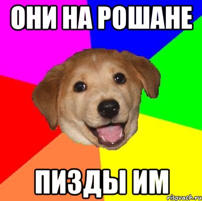 они на рошане пизды им, Мем Advice Dog