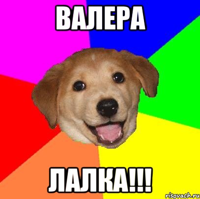 валера лалка!!!, Мем Advice Dog