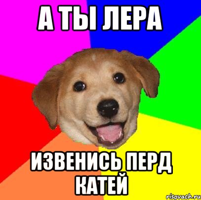 а ты лера извенись перд катей, Мем Advice Dog