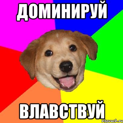 Доминируй Влавствуй, Мем Advice Dog